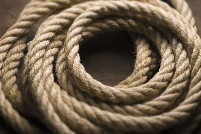 Vedantic Philosophy: The Snake and the Rope