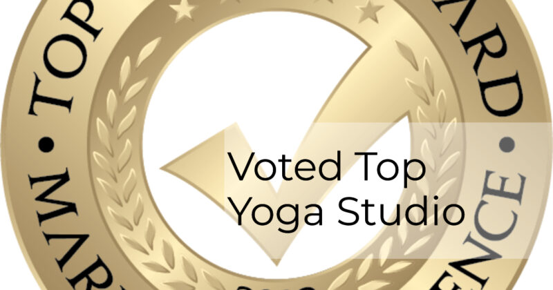 Voted Top Yoga Studio in Ottawa – 2022