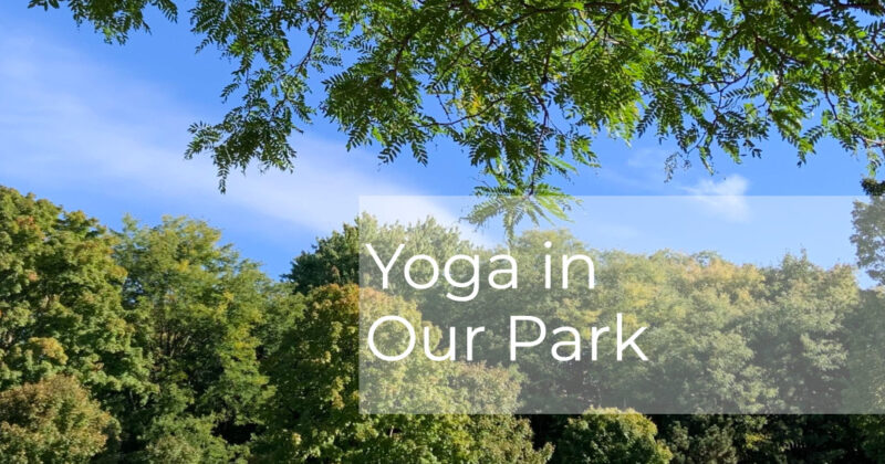 Yoga in Our Park