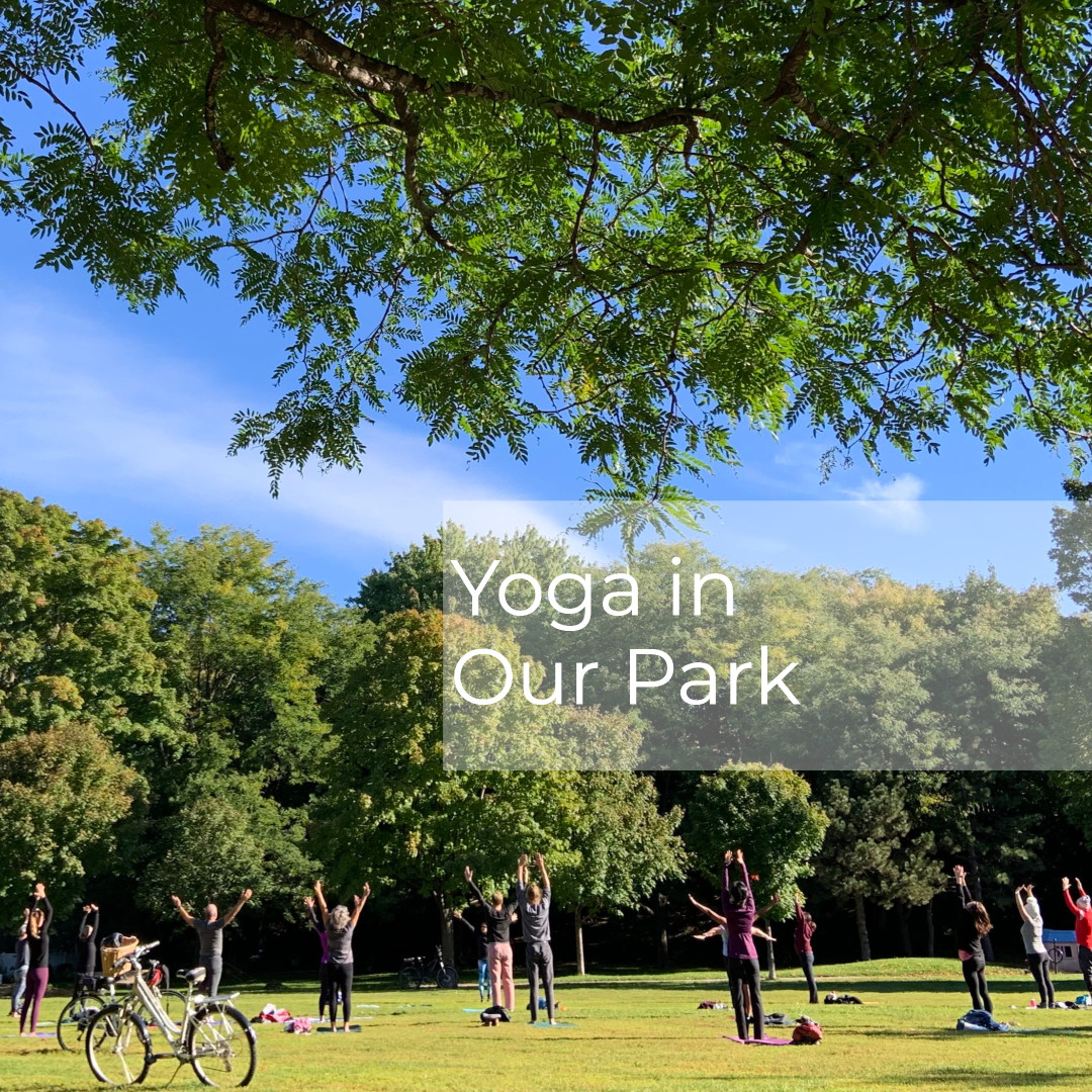 Yoga in Our Park