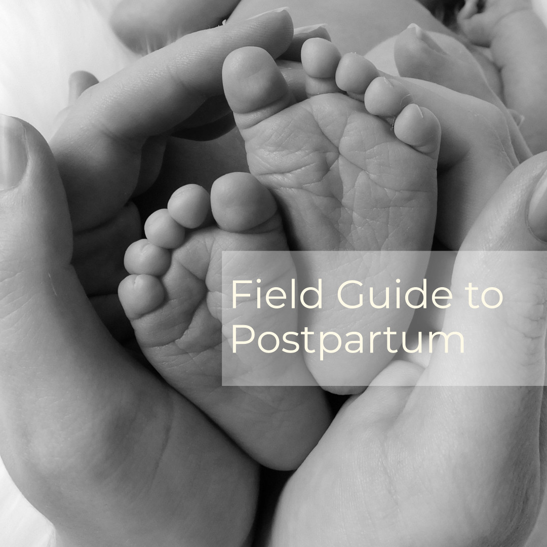 The Fourth Trimester: Postpartum Reflections